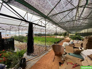 Giảm giá - Bán gấp 1000m2 Đất rộng đường Nguyễn Đình Quân, P5, Đà Lạt giá chỉ 6.5 tỷ