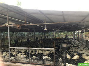 Chính chủ cần bán đất Đường Khu Công Nghệ Cao, Xã Xuân Đường, Huyện Cẩm Mỹ, Đồng Nai.