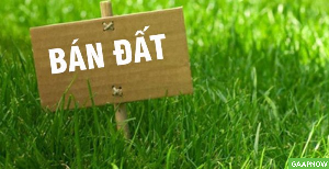 Chính chủ cần bán hoặc cho thuê đất tại Tiền Phong - Quảng Yên - Quảng Ninh.